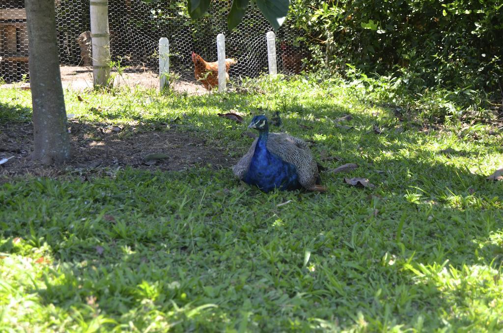 ホテル Finca Azulinas El Edén エクステリア 写真